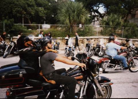 Riding Rottwiler in Daytona, Florida