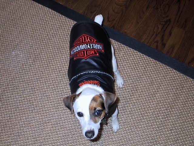 Sweetpea in Motorcycle Gear in Columbus, Georgia