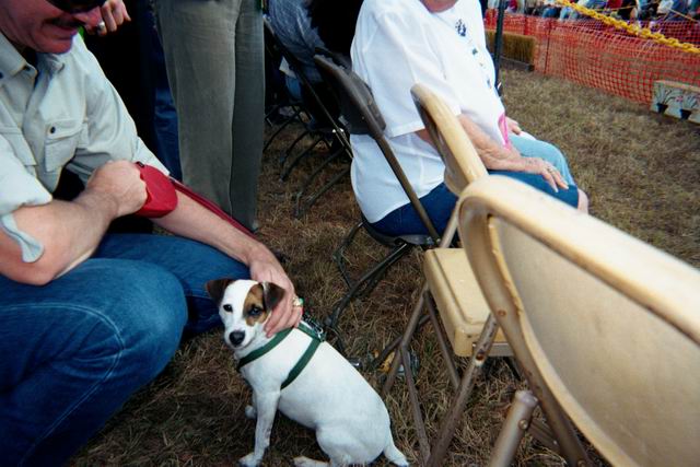 Sweetpea at the Steeplechase in Pine Mountain, Georgia