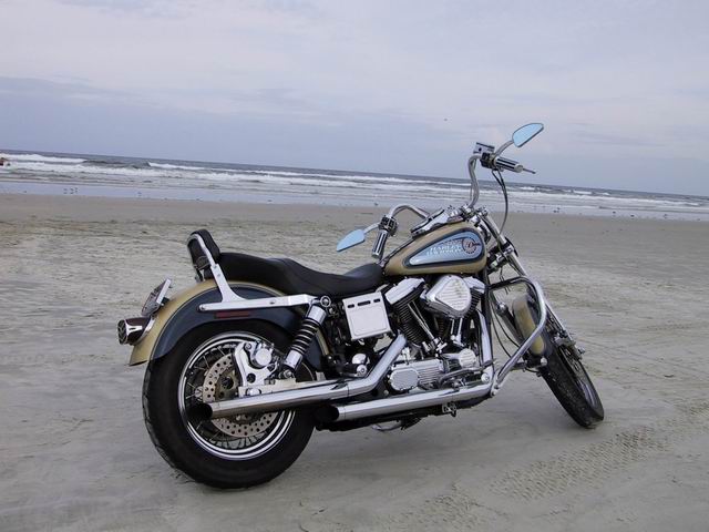 Dyna on the Beach in Daytona, Florida