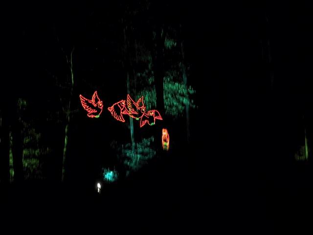 Fantasy In Lights in Callaway Gardens, Georgia