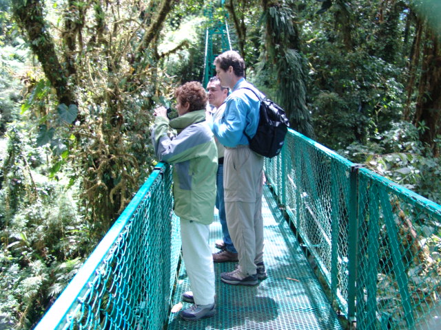 In the Clouds in Monteverde, Costa Rica