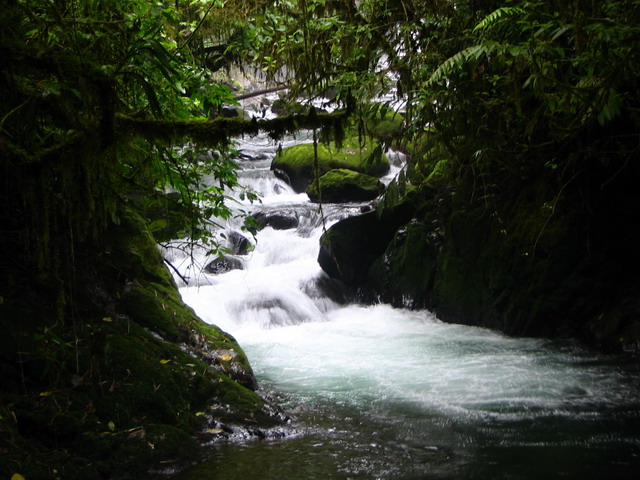 Stream in Costa Rica in La Paz, Costa Rica