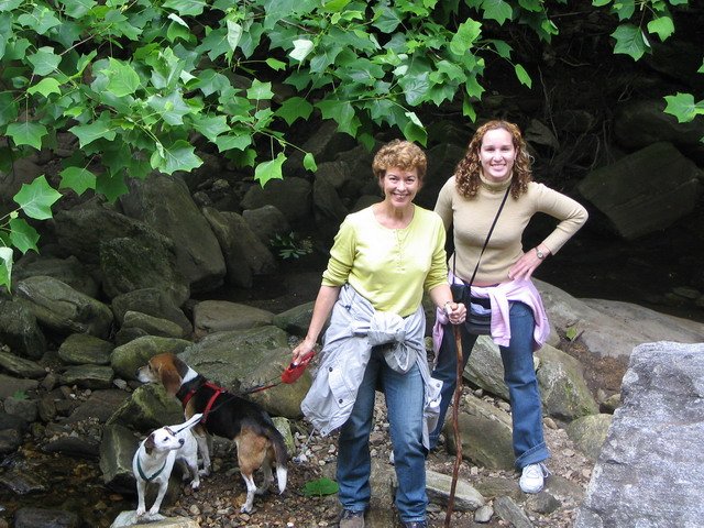 Creekside in Nantahala, South Carolina