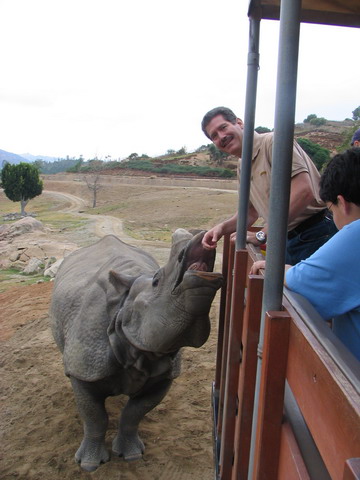 Feeding a Rino in San Diego, California