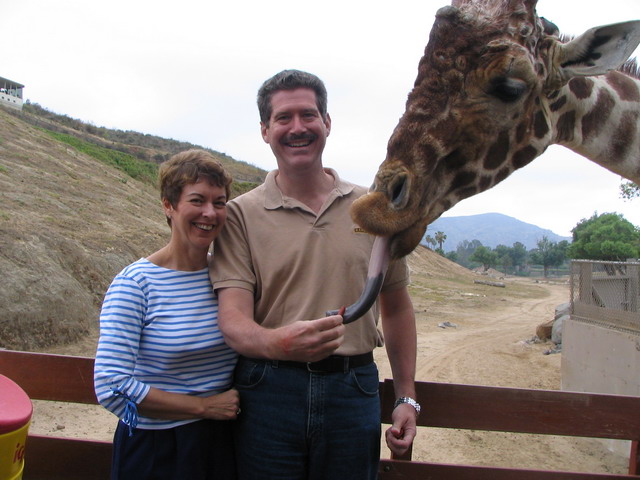 Feeding a Giraffe in San Diego, California