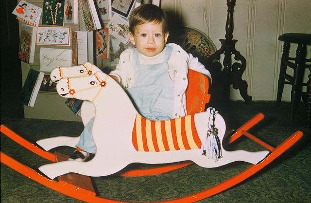 Favorite Horse in Chicago, Illinois
