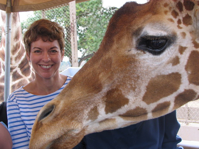 VA Up Close with Giraffe in San Diego, California