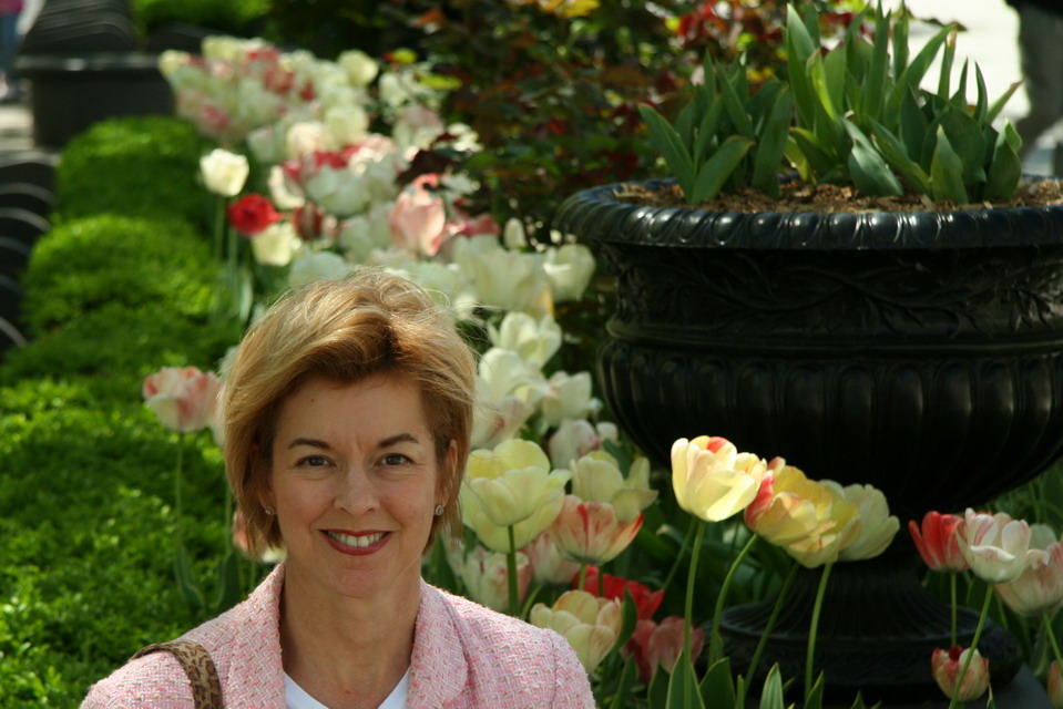 VA in the Tulips in New York, New York