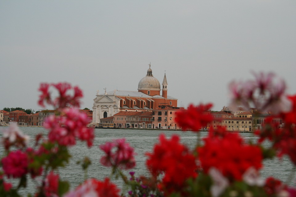 Venice Church through Flowers in Venice, Italy