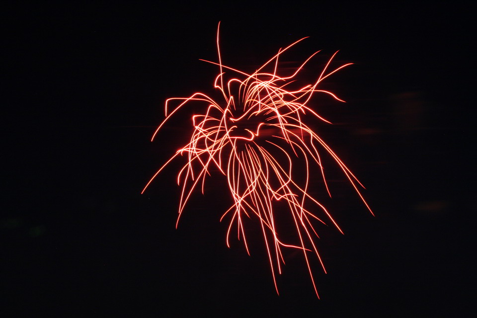 Fire Trails in Columbus, Georgia