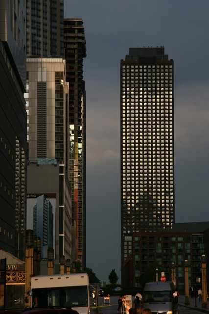 Skyscraper Fish in Chicago, Illinois