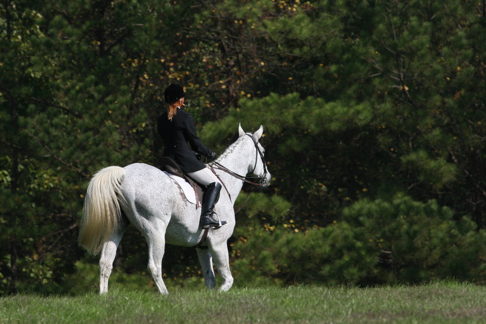 White Horse and Rider in Pine Mountain, Georgia