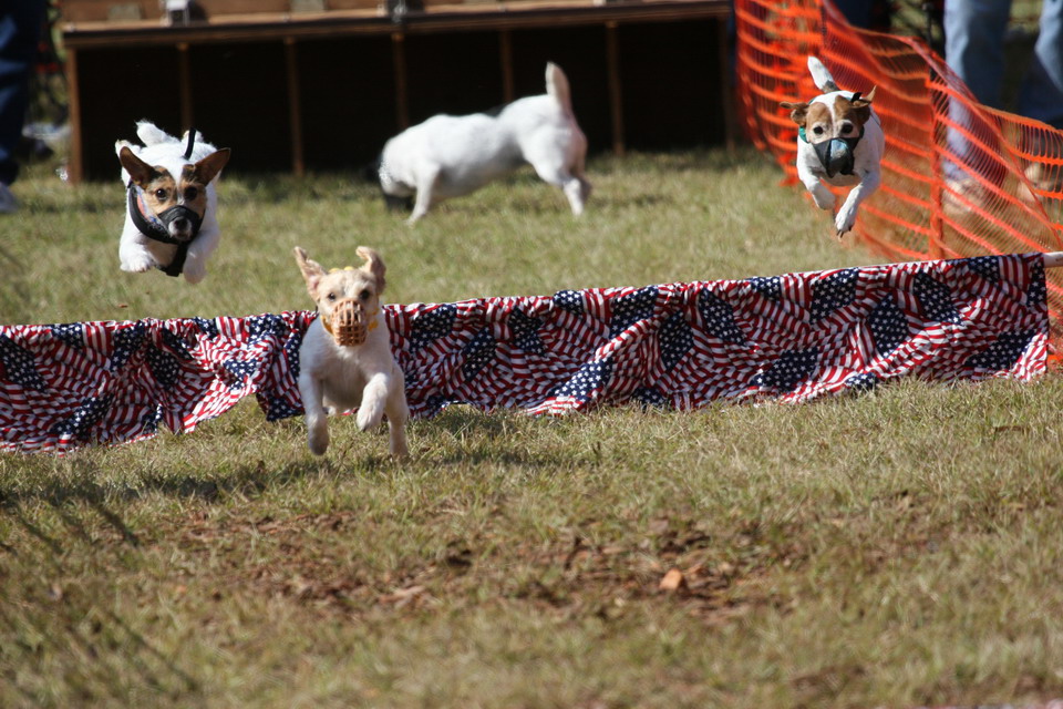 Racing Russells in Pine Mountain, Georgia