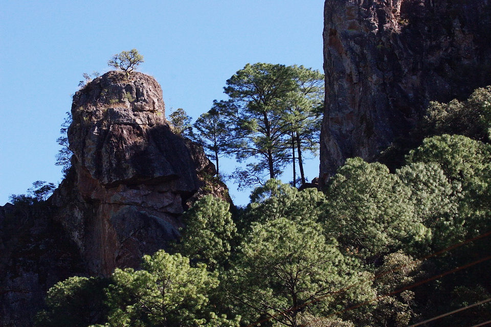 Rocks and Trees in Copper Canyon, Mexico