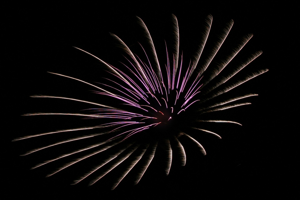 Sky Flower in Highlands, North Carolina