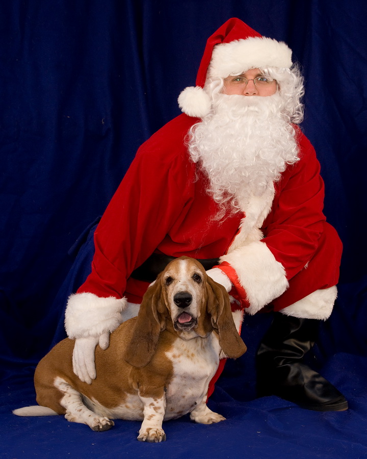 Duke and Santa in Phoenix, Arizona