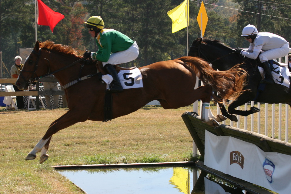 Steeplechase in Callaway Gardens, Georgia