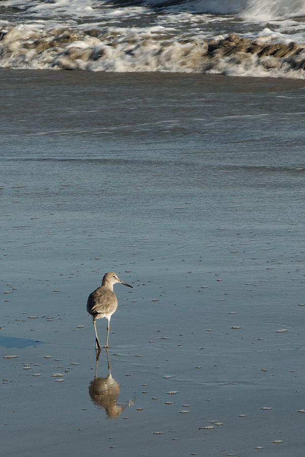 Enjoying the Beach in Santa Barbara, California