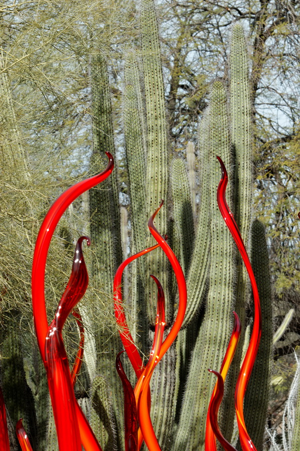 Curves in Phoenix, Arizona