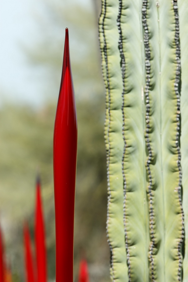 Sharp Neighbor in Phoenix, Arizona