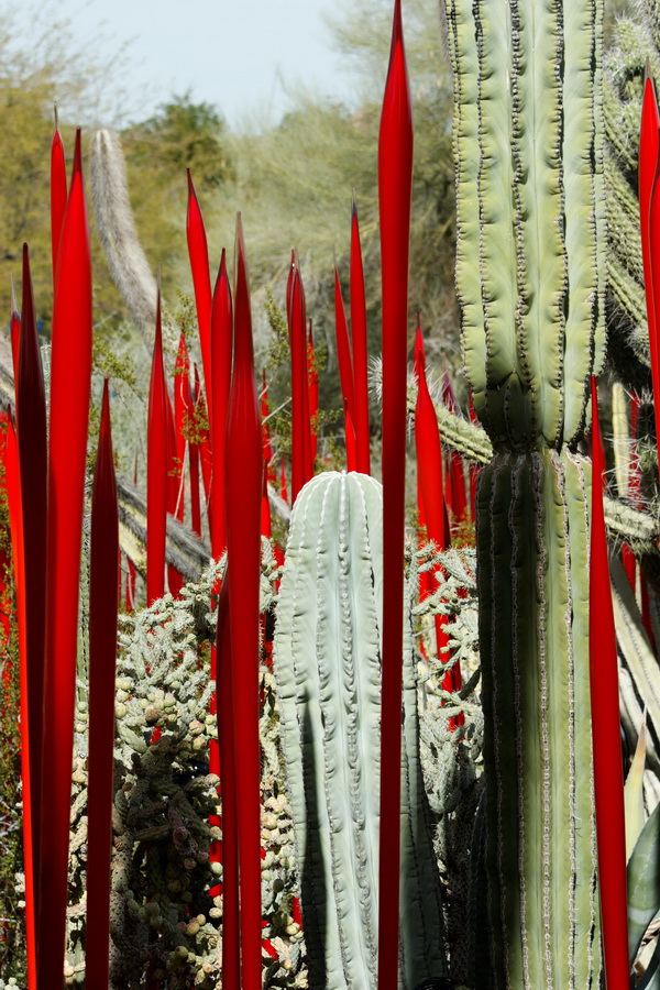 Red Glass in Phoenix, Arizona
