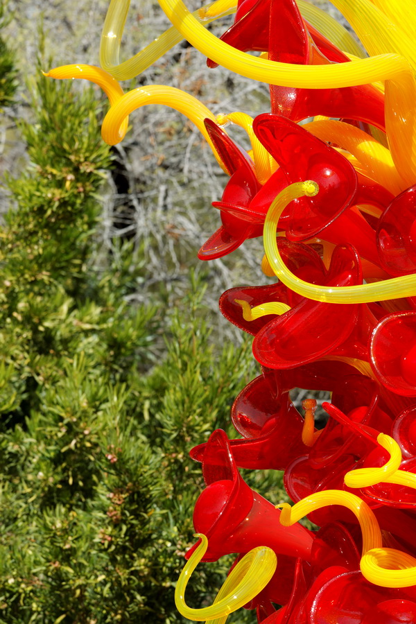 Mexican Hats in Phoenix, Arizona
