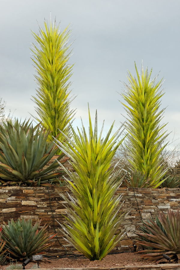 Desert Wildflower Towers in Phoenix, Arizona
