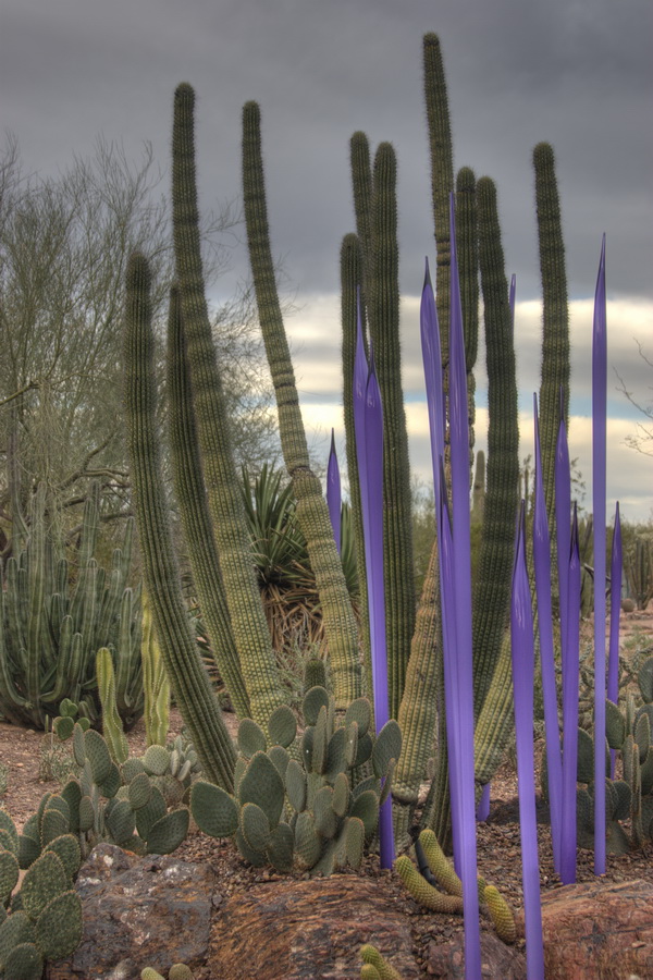 Neodymium Reeds in Phoenix, Arizona