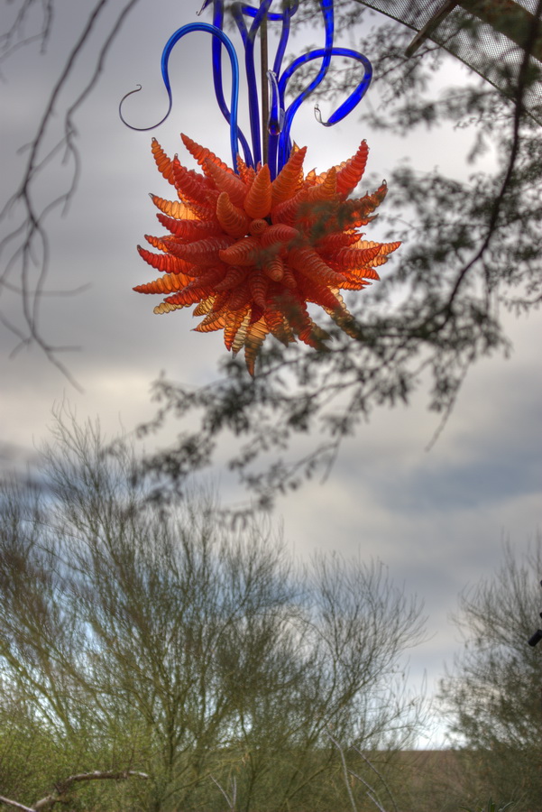 Orange Hornet and Eel Grass Chandelier in Phoenix, Arizona