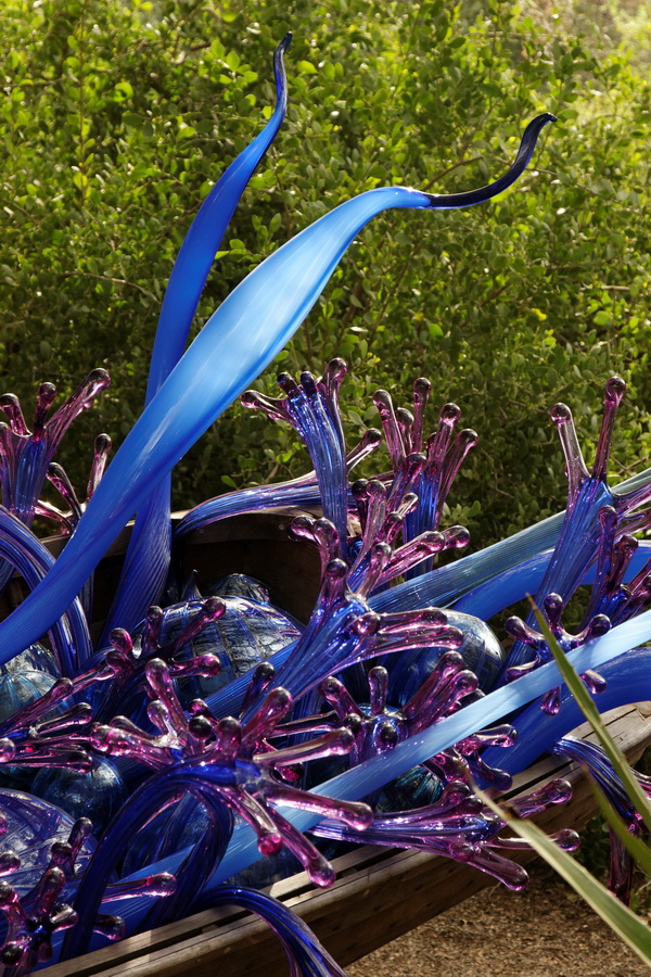 Blue and Purple Boat in Phoenix, Arizona