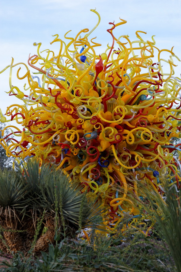 The Sun in Phoenix, Arizona
