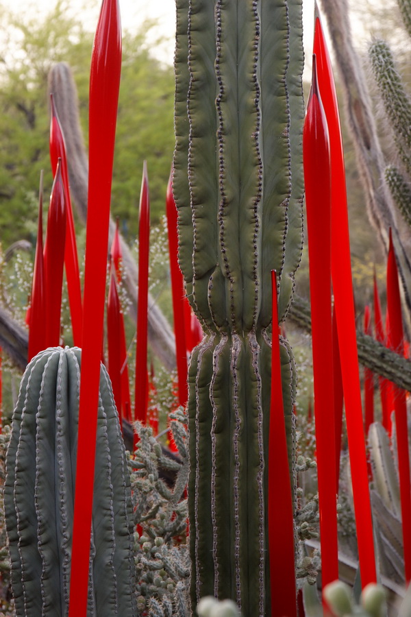 Surrounded in Red in Phoenix, Arizona