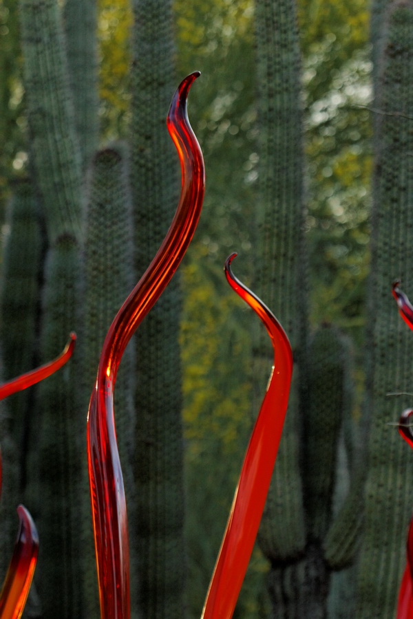Red and Green in Phoenix, Arizona