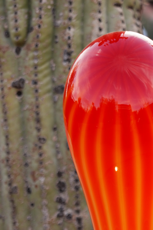 Red Reflections in Phoenix, Arizona