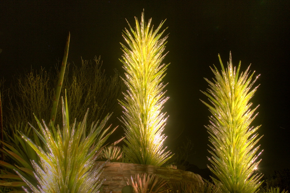 Glass Agave in Phoenix, Arizona