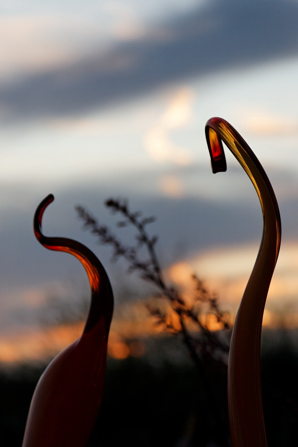 Sunset Glass in Phoenix, Arizona