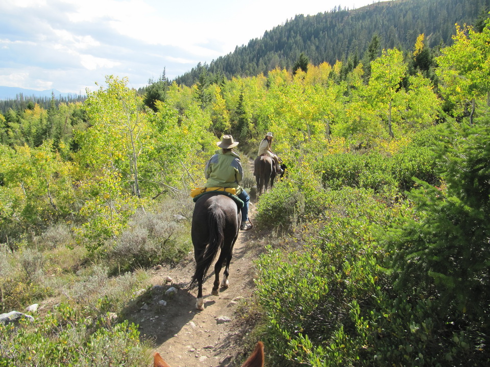 High in the Foothills in Jackson Hole, Wyoming
