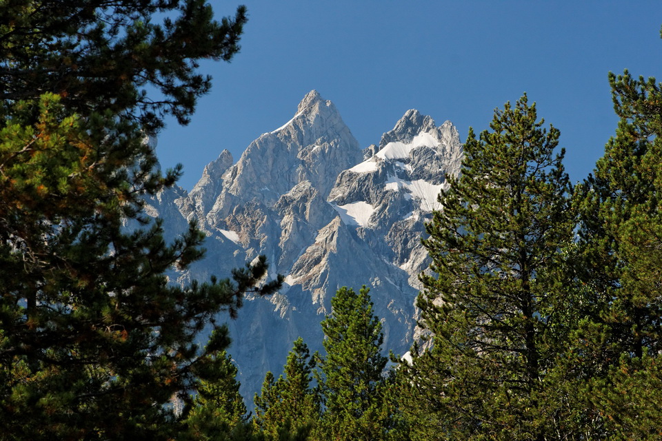 Forest Frame in Grand Teton National Park, Wyoming