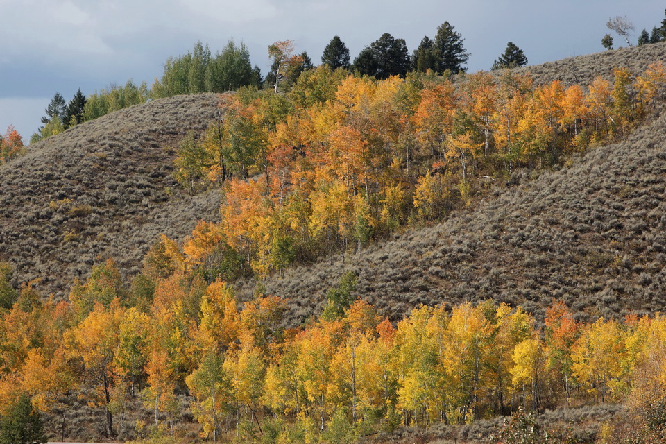 Colorfull Hill in Grand Teton National Park, Wyoming
