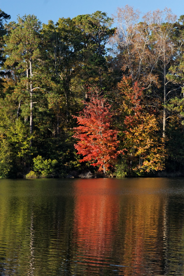 Red Reflection in Pine Mountain, Georgia