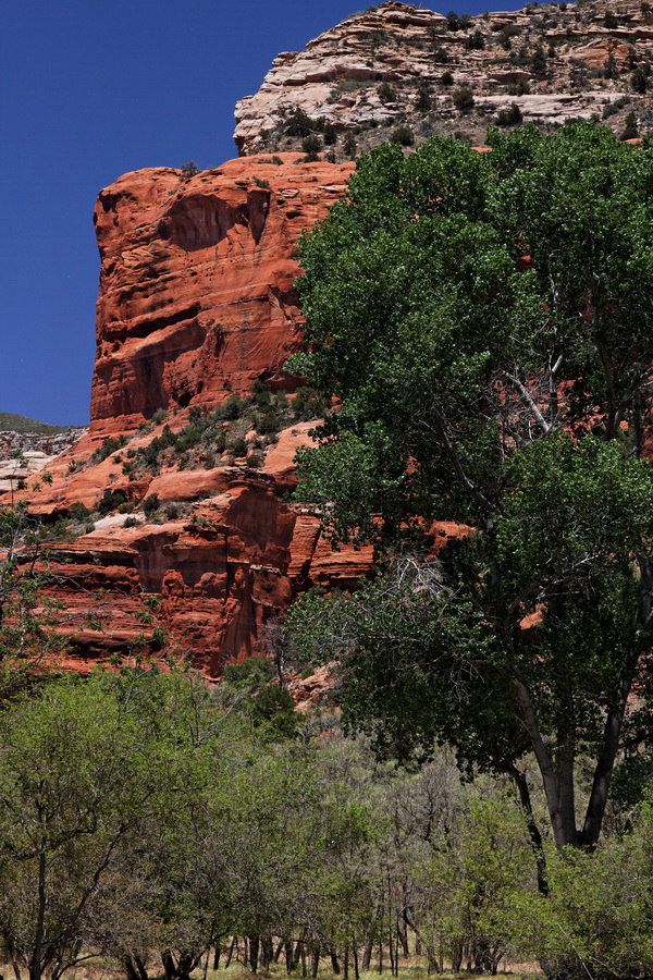 Red Canyon in Sedona, Arizona