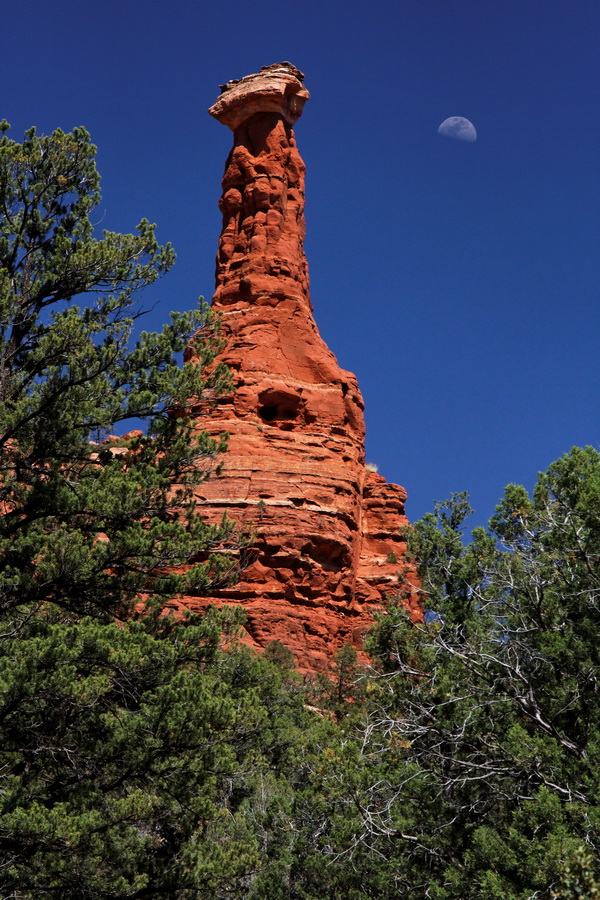 Red Moon in Sedona, Arizona