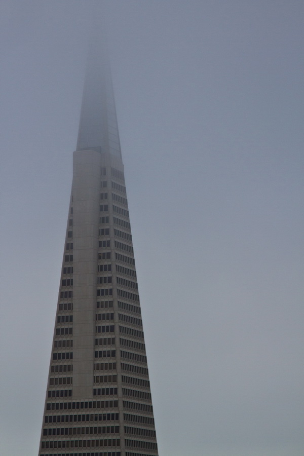 Into the Clouds in San Francisco, California