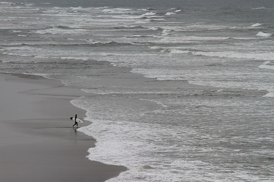 Into the Sea in San Francisco, California