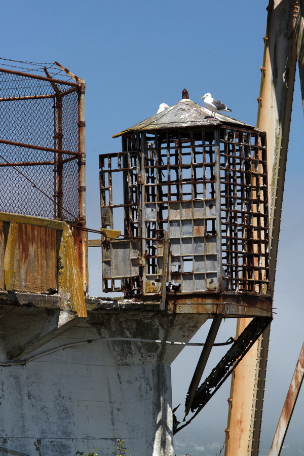 Roost Tower in San Francisco, California