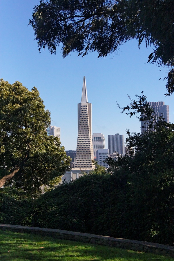 Nice View in San Francisco, California