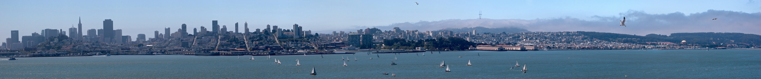 San Fransisco Panorama in San Francisco, California