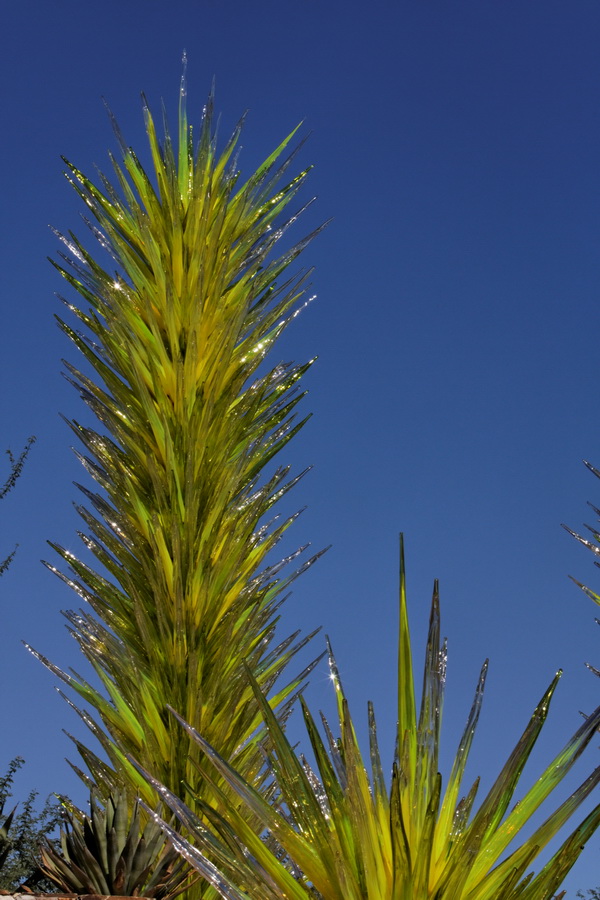 Chihuly Glass in Phoenix, Arizona