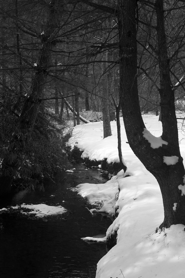 Winter Stream in Highlands, North Carolina